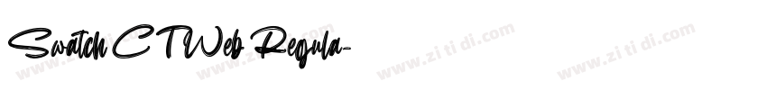 Swatch CT Web Regula字体转换